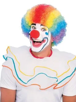 Clown Multicoloured Wig For Adults