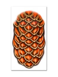 Dragon Scales Large Temporary Tattoo Kit