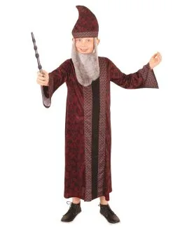 Dumbledore Robe For Kids - Warner Bros Harry Potter