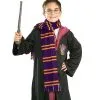 Gryffindor House Scarf For Kids - Warner Bros Harry Potter