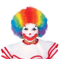 Multi Color Clown Wig For Kids