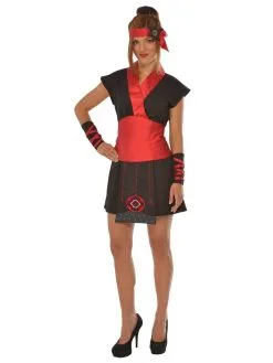 Ninja Lady Costume For Adults