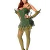 Poison Ivy Costume For Adults - Warner Bros DC Comics