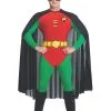 Robin Costume For Adults - Warner Bros DC Comics