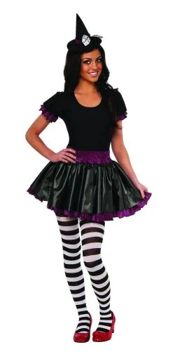 Wicked Witch Of The East Costume For Adults - Warner Bros The Wizard Of Oz