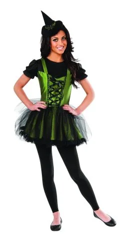 Wicked Witch Of The West Costume For Adults - Warner Bros The Wizard Of Oz