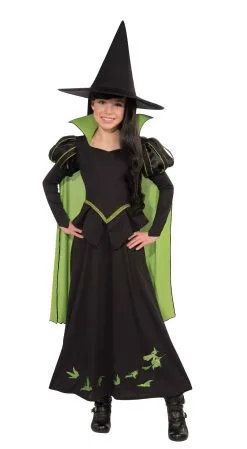 Wicked Witch Of The West Costume For Kids - Warner Bros The Wizard Of Oz